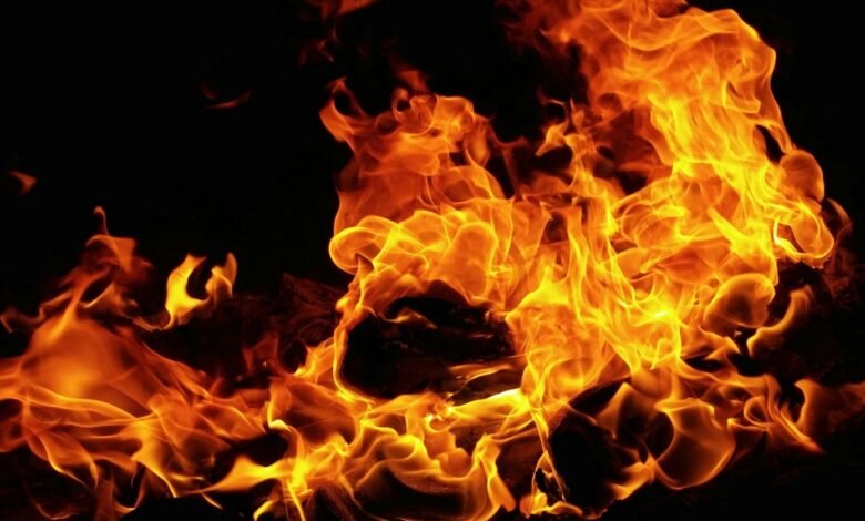 gwalior-fire:-ग्वालियर-में-भीषण-आग-लगने-से-4-लोग-घायल,-कई-घरों-समेत-चारा-जलकर-राख